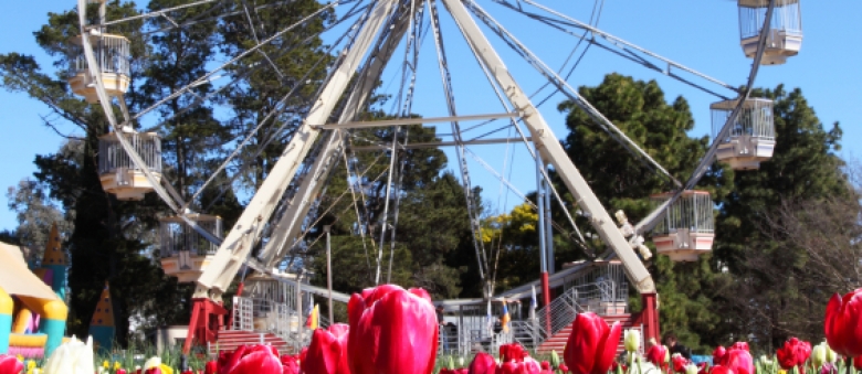 Be sure to see Canberra in bloom
